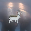 Buck Gooter - Stainless Steel Mirrors - Vinyl Record