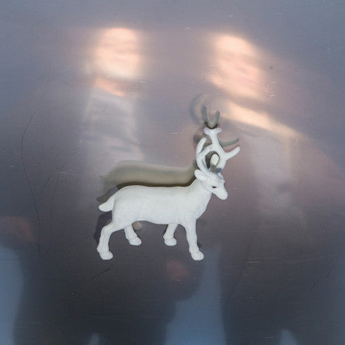 Buck Gooter - Stainless Steel Mirrors - Vinyl Record