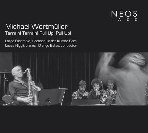 Wertmuller,michael - Terrain Terrain Pull Up Pull Up - Music CD