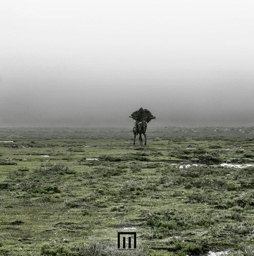 Wormstorm,markus - Figure In Field - Vinyl Record