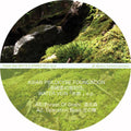 Asian Psilocybe Foundation - Water Vein - Vinyl Record