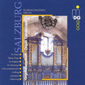 Pagitsch / Posch / Mozart / Haydn - Salzburg Organ Landscape - Music CD
