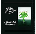 Yung - A Youthful Dream