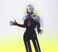 Bjork - Vulnicura - Music CD