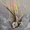 Henrietta - Paper Wings - Vinyl Record