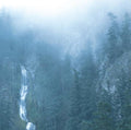 Wolves In The Throne Room - Diadem Of 12 Stars [LP]