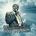 Robins,jimmy - Wind Beneath My Wings - Music CD