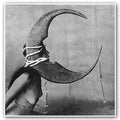 Ghost Bath - Moonlover - Music CD