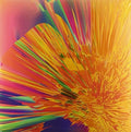 Jmsn - It Is - Vinyl Record