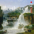 Ardinghello Ensemble - Beethoven: Serenade And String Trio - Music CD