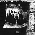 Una Bestia Incontrolable - 10-11-12 Demo - Vinyl Record