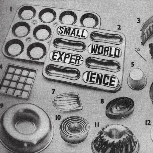 Small World Experience - Shelf-life - Vinyl Record