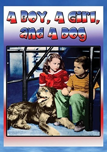 Boy A Girl & A Dog - Boy A Girl & A Dog - DVD