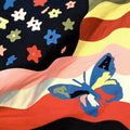 Wildflower Vinyl Record