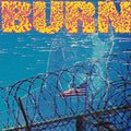 Burn - From The Ashes - Vinyl Record