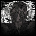 Levitas,asher - Lit Harness - Vinyl Record