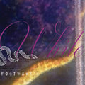 50 Foot Wave - Bath White - Music CD