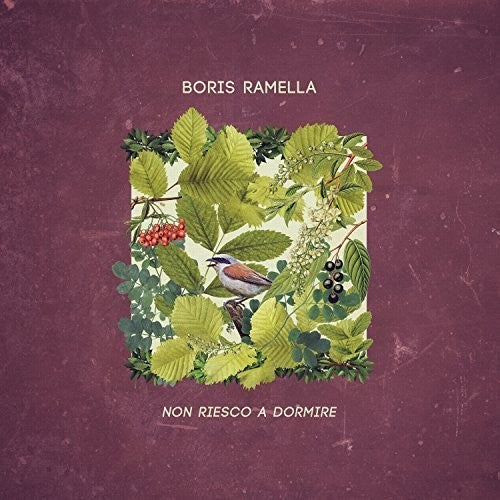 Ramella,boris - Non Riesco A Dormire - Music CD