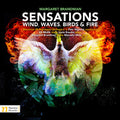 Brandman,m. / Muzik,vit / Vronsky,petr - Brandman: Sensations - Music CD