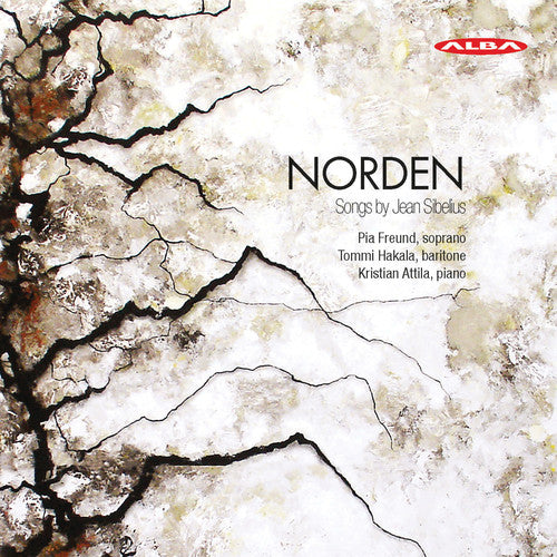 Sibelius,jean / Freund - Norden - Music CD