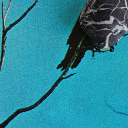 Stateless Vinyl Record