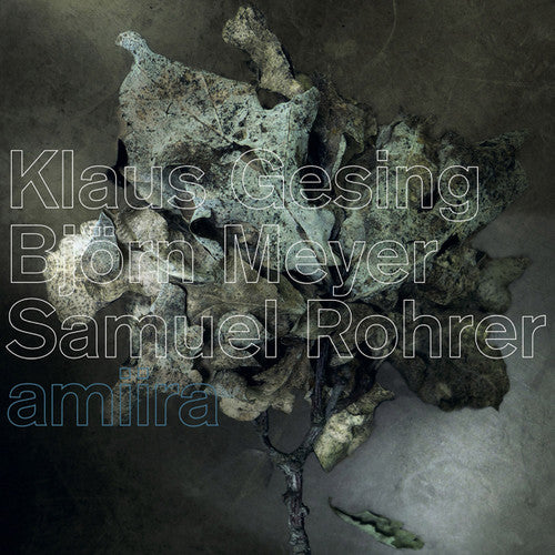 Gesing,klaus / Meyer,bjron / Rohrer,samuel - Amiira - Music CD