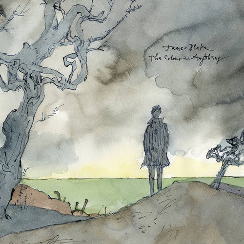 The Colour In Anything [Import Vinyl] Vinyl Record