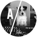 Pooley,ian - Turakina - Vinyl Record