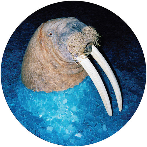 Tross - Walrus - Vinyl Record