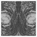 Necro Deathmort - Capsule - Music CD