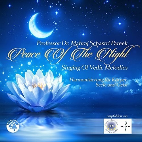 Professor Dr. Mahraj Nandlal S - Peace Of The Night - Music CD