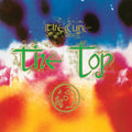 The Top Vinyl Record