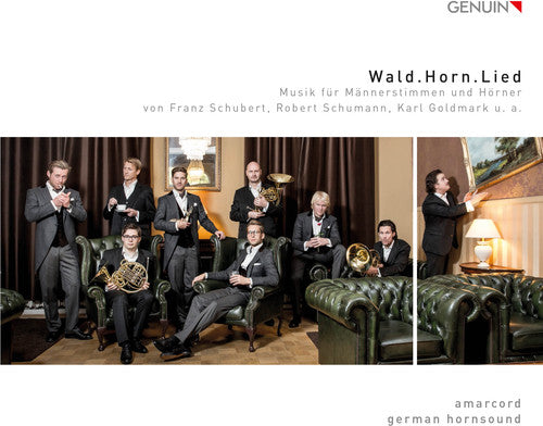 Goldmark,k. / Hornsound,german - Wald.horn.lied - Music CD