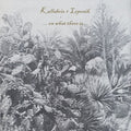 Kallabris + Lepenik - On What There Is - Vinyl Record
