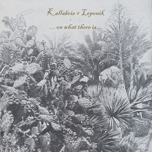 Kallabris + Lepenik - On What There Is - Vinyl Record