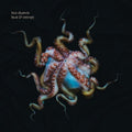 Chatwin,ben - Heat & Entropy - Vinyl Record