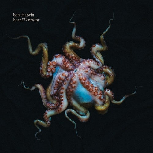 Chatwin,ben - Heat & Entropy - Vinyl Record