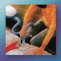 Why Do You Look Like Your Dog? Music CD