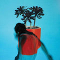 Local Natives - Sunlit Youth - Music CD