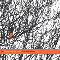 Death Cab For Cutie - Forbidden Love - Music CD