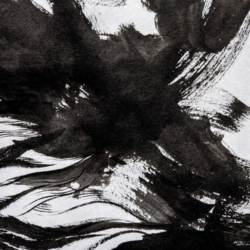 Capriati,joseph / Beyer,adam - Redimension 001 - Vinyl Record