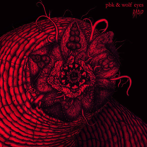 Pbk & Wolf Eyes - Rabid - Vinyl Record