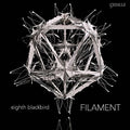 Dessner / Eighth Blackbird - Filament - Vinyl Record