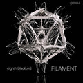 Filament [LP] Vinyl Record