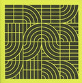Momus - Pubic Intellectual: An Anthology 1986-2016 - Music CD