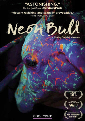 Neon Bull - Neon Bull - DVD