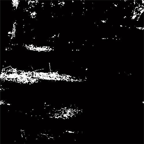 Nax_acid - Abyssal - Vinyl Record