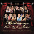 Homenaje Al Sentir De Mi Tierra / Various - Homenaje Al Sentir De Mi Tierra / Various - Music CD