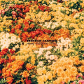Canning,brendan - Home Wrecking Years - Vinyl Record