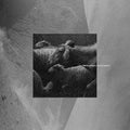 Tr - Manifesto Rumoratorio - Vinyl Record